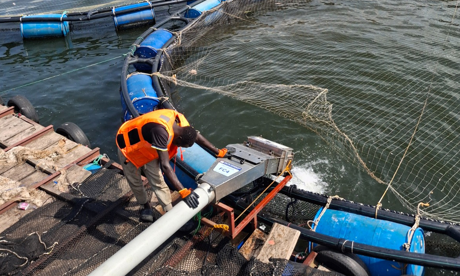 outgrowers-fish-farm-uganda-kamos06