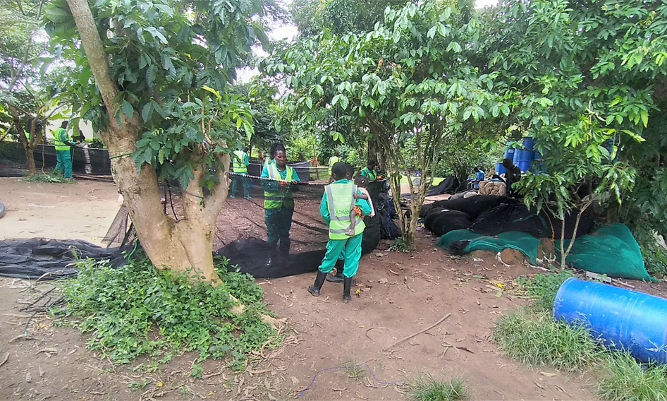 training-and-consultancy-services-kamos-fish-farm-uganda05