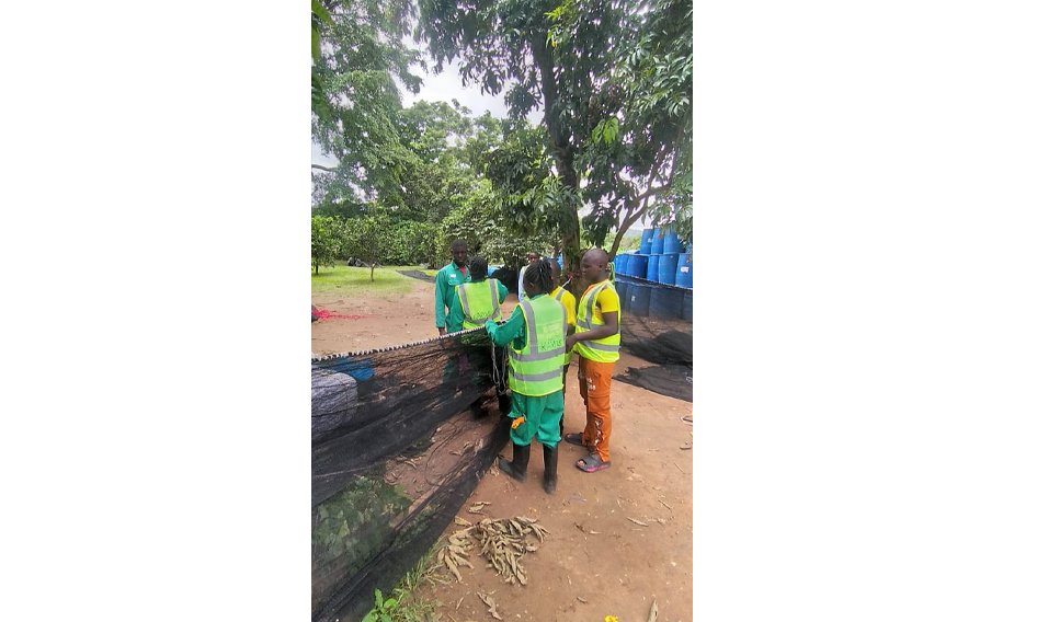 training-and-consultancy-services-kamos-fish-farm-uganda07